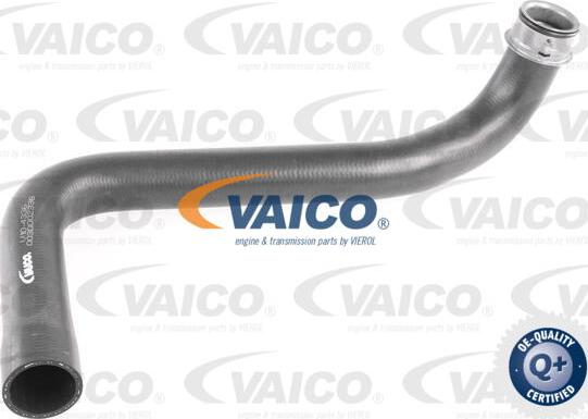VAICO V10-4336 - Шланг радиатора autodnr.net