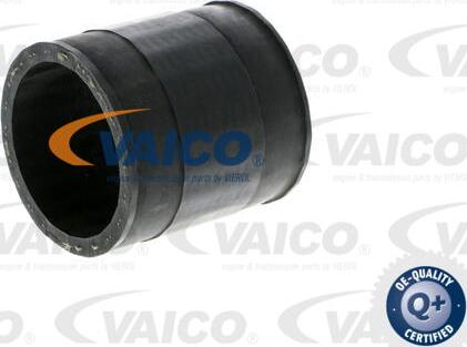 VAICO V10-4370 - Трубка, нагнетание воздуха autodnr.net