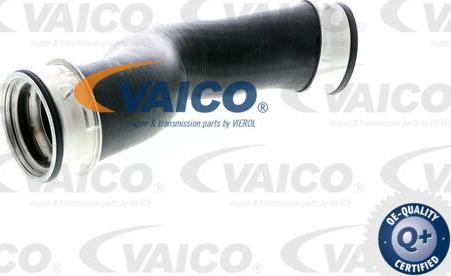 VAICO V10-4376 - Трубка, нагнетание воздуха autodnr.net