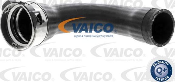 VAICO V10-4378 - Трубка нагнітається повітря autocars.com.ua