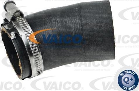 VAICO V10-4382 - Трубка нагнітається повітря autocars.com.ua