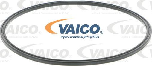VAICO V104417 - Прокладка, датчик уровня топлива avtokuzovplus.com.ua