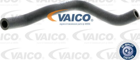 VAICO V10-4649 - Шланг, вентиляция картера avtokuzovplus.com.ua