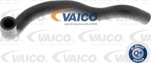 VAICO V10-4653 - Шланг радіатора autocars.com.ua