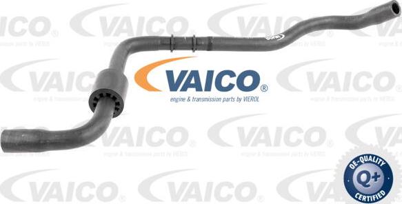 VAICO V10-4654 - Шланг радіатора autocars.com.ua