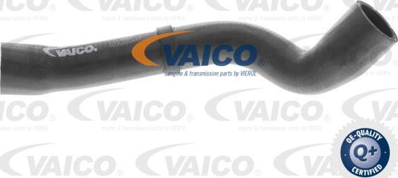 VAICO V10-4667 - Шланг радіатора autocars.com.ua