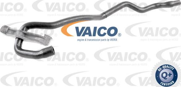 VAICO V10-4679 - Шланг радіатора autocars.com.ua