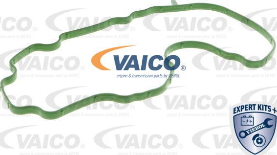 VAICO V10-4744 - Маслосъемный щиток, вентиляция картера avtokuzovplus.com.ua