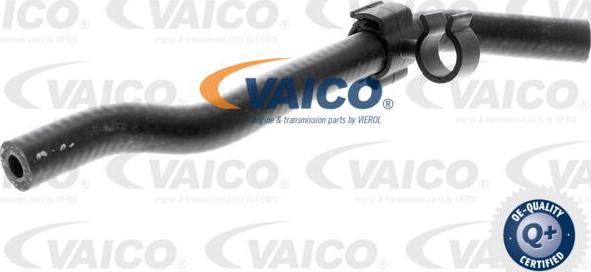 VAICO V10-4764 - Шланг радіатора autocars.com.ua