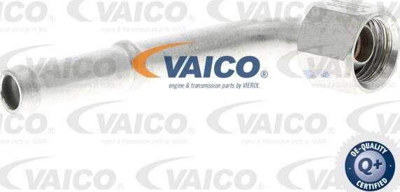 VAICO V10-4781 - Трубка охолоджуючої рідини autocars.com.ua