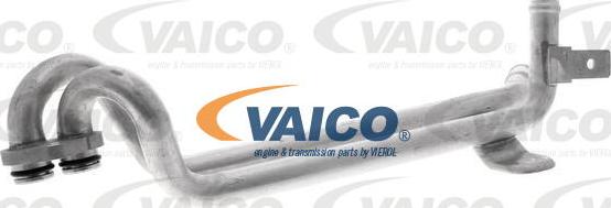 VAICO V10-4787 - Трубка охолоджуючої рідини autocars.com.ua