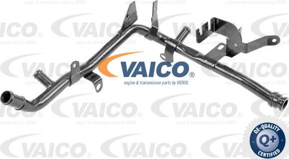 VAICO V10-4790 - Трубка охлаждающей жидкости avtokuzovplus.com.ua