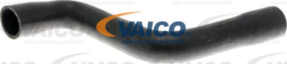 VAICO V10-4813 - Шланг радиатора avtokuzovplus.com.ua