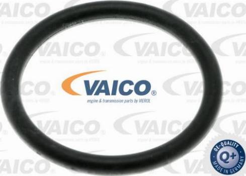 VAICO V10-4846 - Шланг, вентиляція картера autocars.com.ua