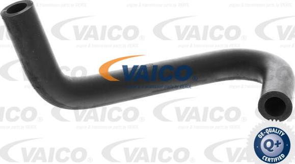 VAICO V10-4850 - Шланг, вентиляція картера autocars.com.ua