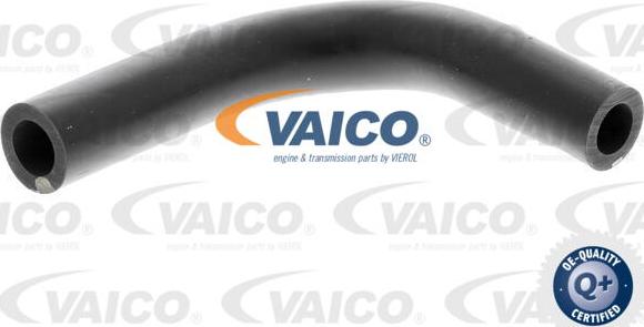 VAICO V10-4851 - Шланг, вентиляція картера autocars.com.ua