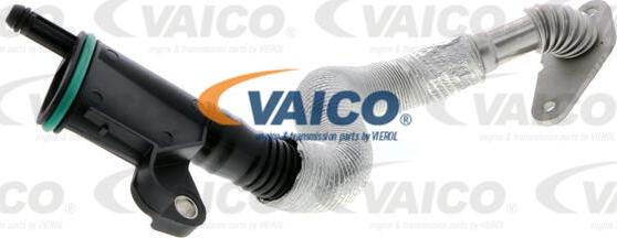 VAICO V10-4852 - Шланг, вентиляція картера autocars.com.ua