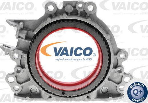 VAICO V10-4859 - Уплотняющее кольцо, коленчатый вал avtokuzovplus.com.ua