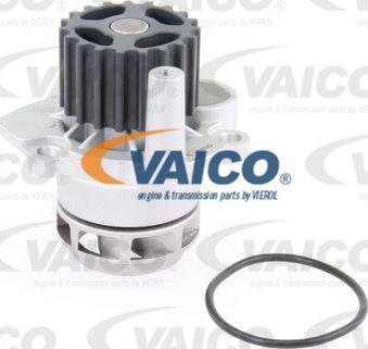 VAICO V10-50060 - Водяной насос autodnr.net
