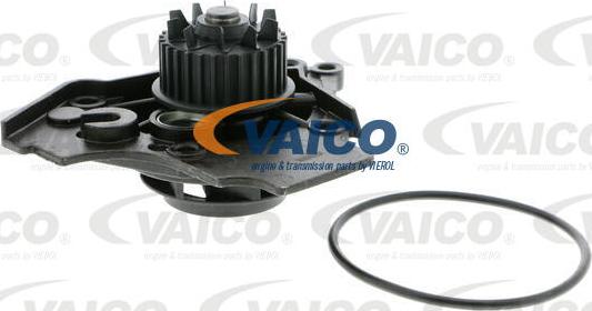 VAICO V10-50072 - Водяной насос avtokuzovplus.com.ua