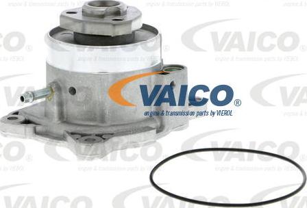 VAICO V10-50081 - Водяной насос avtokuzovplus.com.ua