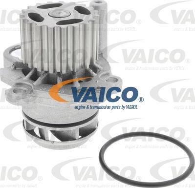 VAICO V10-50105-BEK - Водяний насос + комплект зубчатого ременя autocars.com.ua