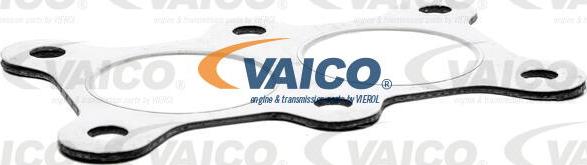 VAICO V10-5093 - Прокладка, випускний колектор autocars.com.ua