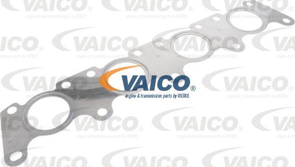 VAICO V10-5094 - Прокладка, випускний колектор autocars.com.ua