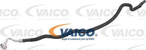 VAICO V10-5197 - Гидравлический шланг, рулевое управление avtokuzovplus.com.ua