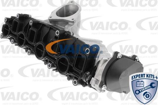 VAICO V10-5268 - Модуль впускний труби autocars.com.ua