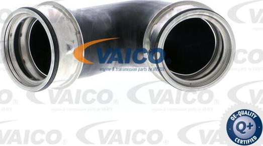 VAICO V10-5300 - Трубка нагнітається повітря autocars.com.ua