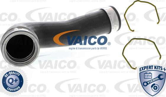 VAICO V10-5302 - Трубка нагнітається повітря autocars.com.ua