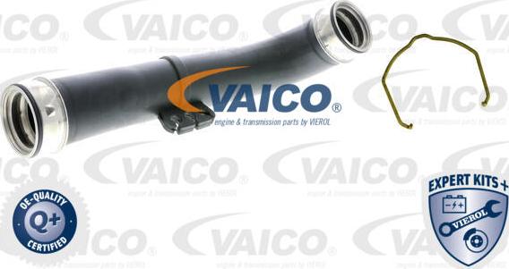 VAICO V10-5303 - Трубка нагнітається повітря autocars.com.ua