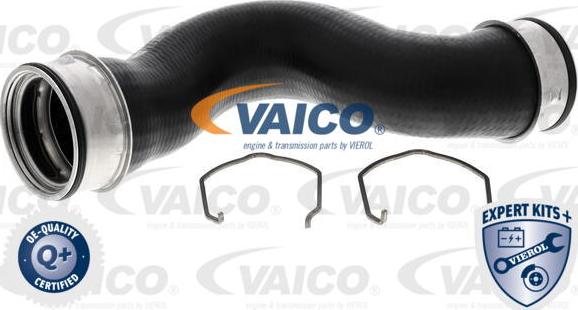 VAICO V10-5304 - Трубка нагнітається повітря autocars.com.ua