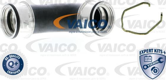 VAICO V10-5305 - Трубка нагнітається повітря autocars.com.ua