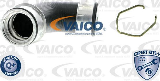 VAICO V10-5306 - Трубка, нагнетание воздуха autodnr.net