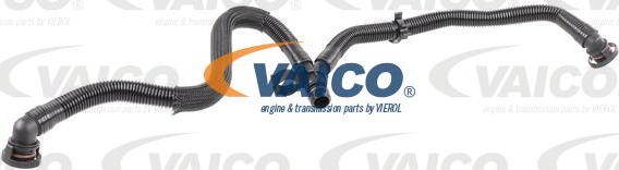 VAICO V10-5456 - Шланг, вентиляція картера autocars.com.ua