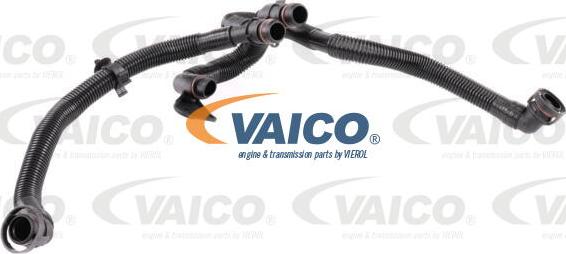 VAICO V10-5458 - Шланг, вентиляція картера autocars.com.ua