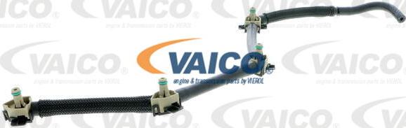 VAICO V10-5495 - Шланг, витік палива autocars.com.ua