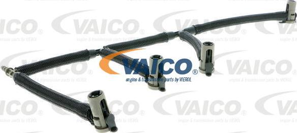 VAICO V10-5504 - Шланг, витік палива autocars.com.ua