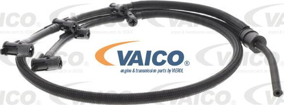 VAICO V10-5507 - Шланг, витік палива autocars.com.ua