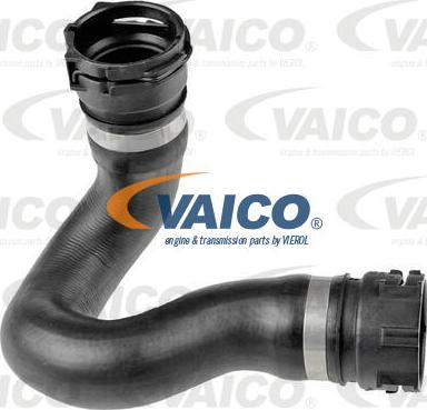 VAICO V10-5531 - Шланг радіатора autocars.com.ua