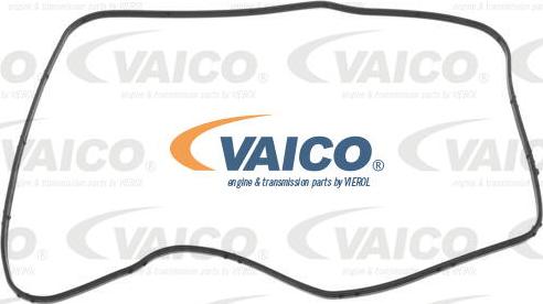 VAICO V10-6967 - Прокладка, автоматическая коробка autodnr.net