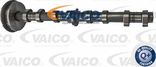 VAICO V10-5585 - Шток autocars.com.ua