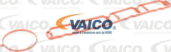 VAICO V10-5797 - Модуль впускной трубы avtokuzovplus.com.ua