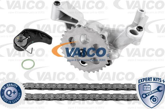 VAICO V10-5833 - Комплект ланцюга, привід масляного насоса autocars.com.ua