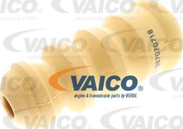 VAICO V10-6034-1 - Відбійник, буфер амортизатора autocars.com.ua