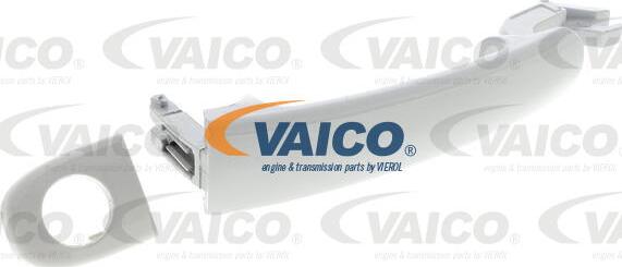 VAICO V10-6161 - Ручка двері autocars.com.ua
