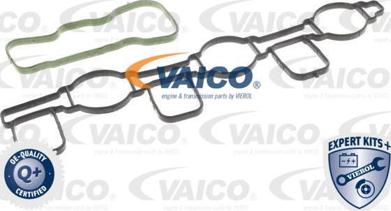 VAICO V10-6482 - Модуль впускний труби autocars.com.ua