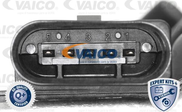 VAICO V10-6482 - Модуль впускний труби autocars.com.ua